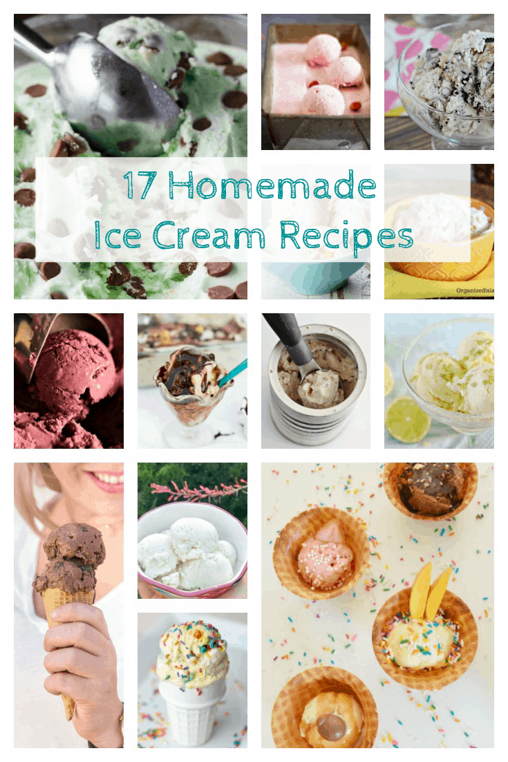 17 Homemade Ice Cream Recipes Pin | HarperNCo