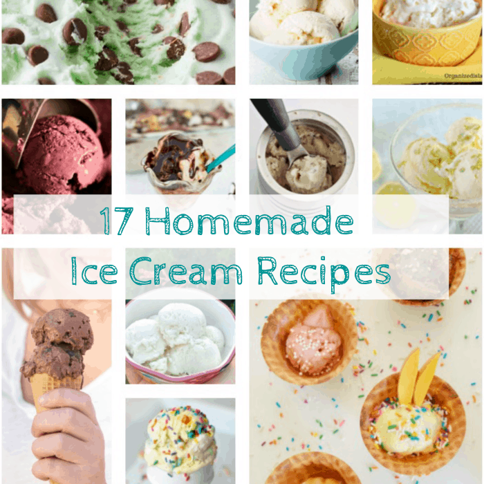 I scream, you scream, we all scream for ice cream! Here's a collection of more than 17 ice cream recipes some with a machine and others no-churn to try www.domesticdeadline.com