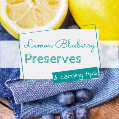 Lemon Blueberry Preserves