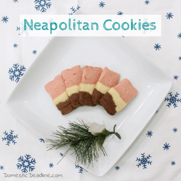 Starting with an old family favorite recipe and one simple change resulted in the Neapolitan Cookies and a new family favorite. 12 Days of Christmas Sweets www.domesticdeadline.com