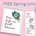 Free Spring Coloring Pages