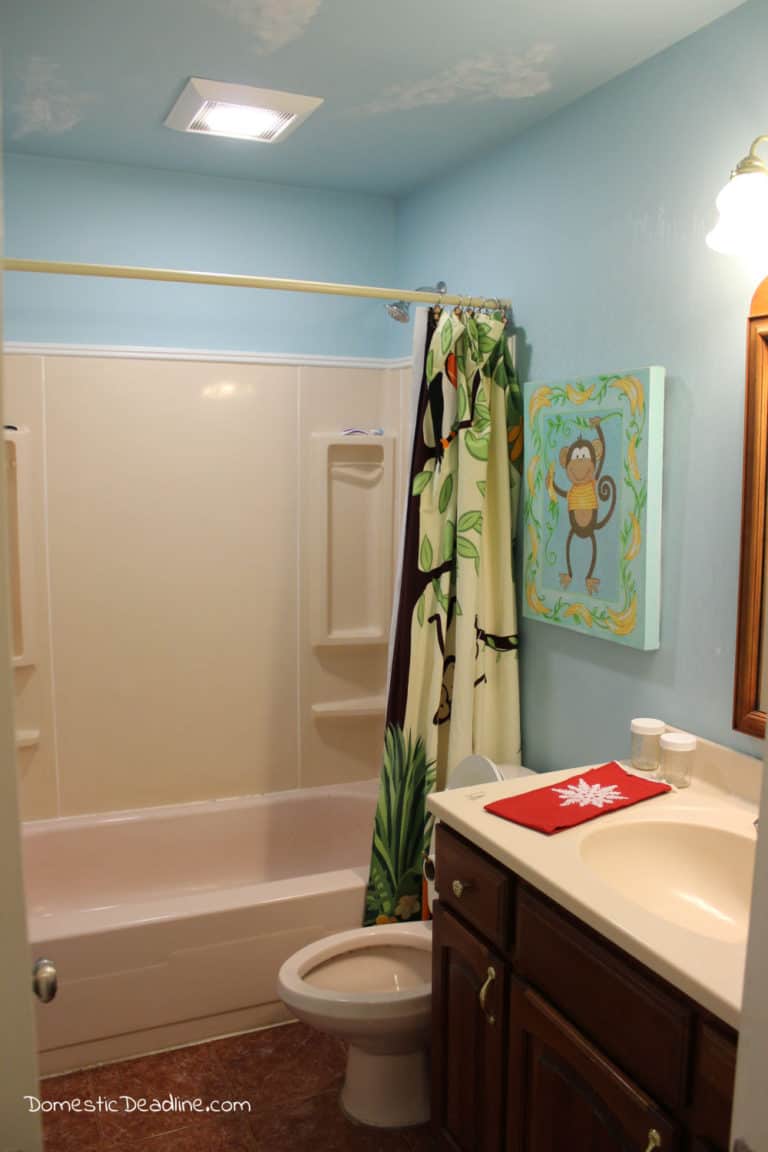 A bathroom renovation is a major undertaking. See where we started and learn why we made some of the selections to reduce mold and allergies. domesticdeadline.com