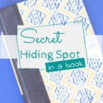Book Hiding Spot
