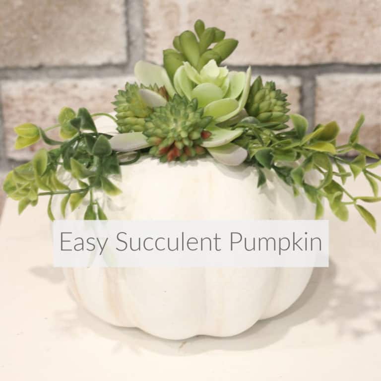 Learn how easy it is to make this quick succulent pumpkin for your fall decor using paint and dollar store supplies. A beautiful addition to any fall decor DomesticDeadline.com