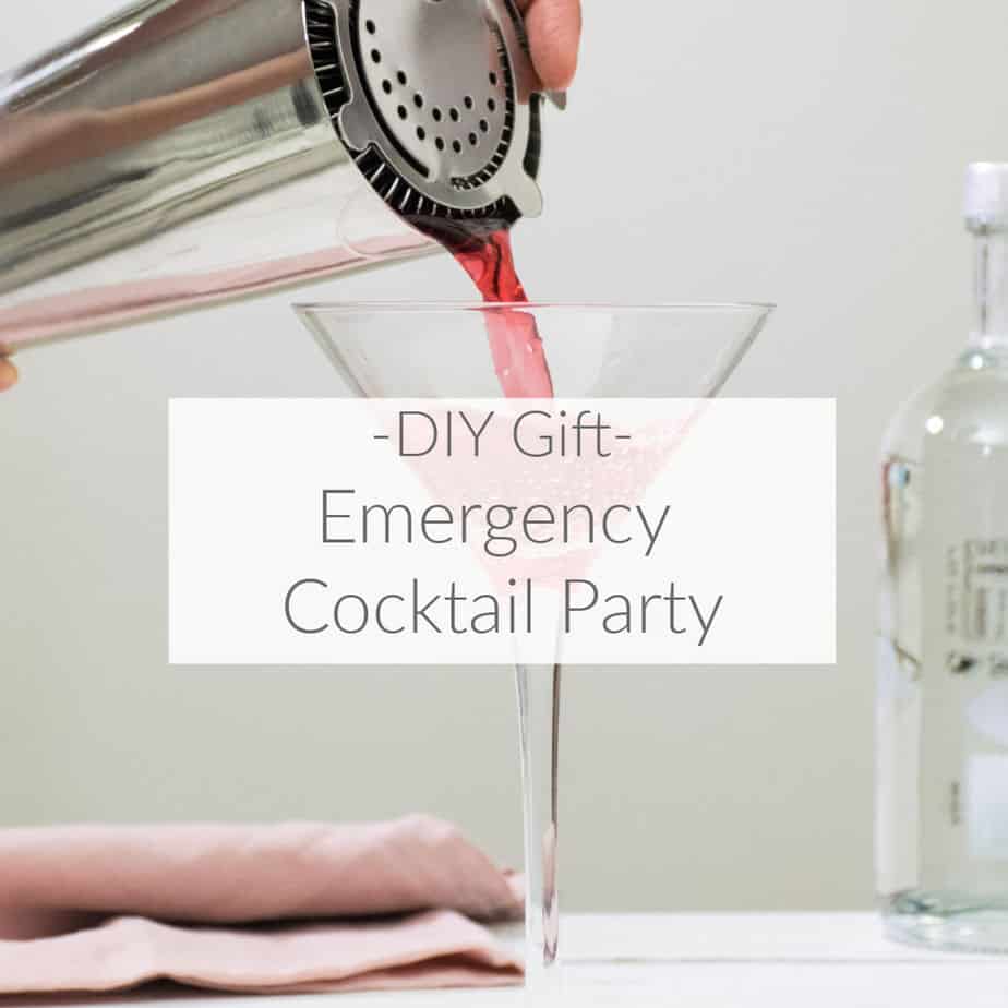 Learn how to put together this fun gift for the person who has everything - an Emergency Cocktail Party kit, just add ice! Includes free printable tags DomesticDeadline.com