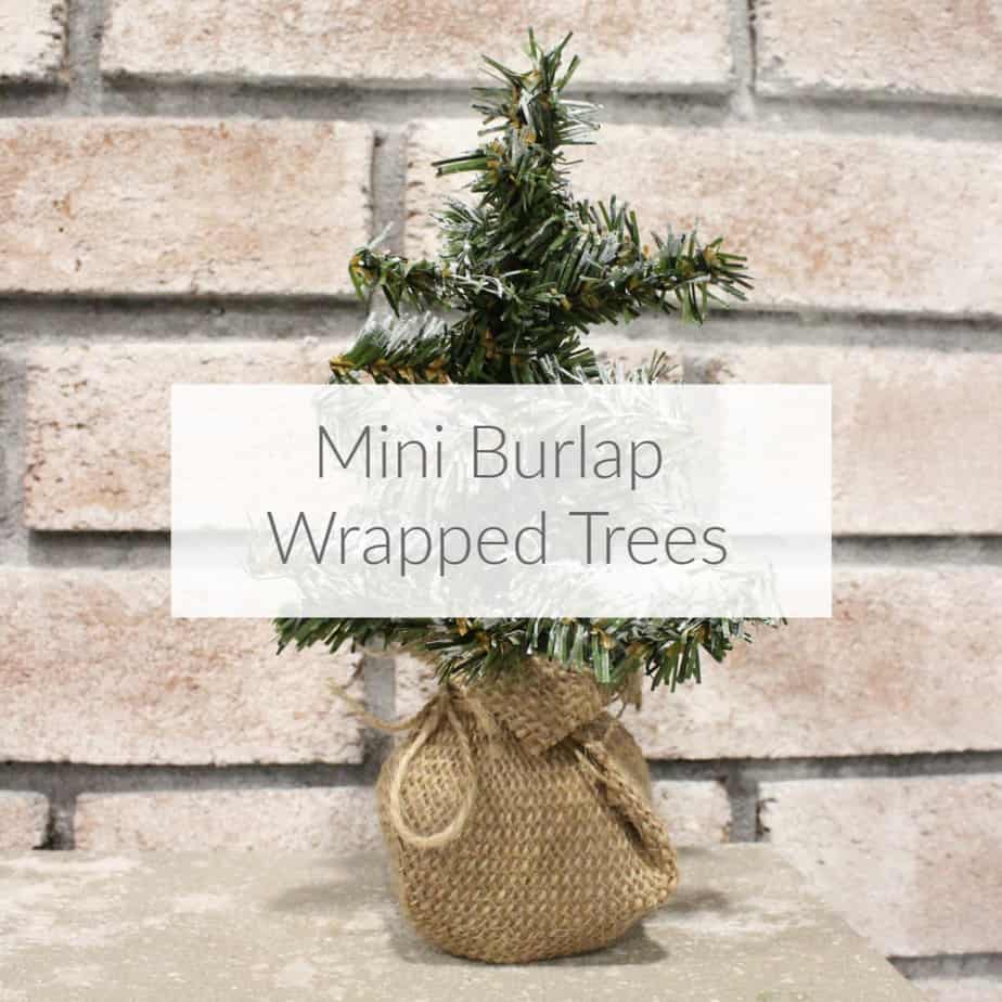 Learn how to make mini burlap wrapped trees with dollar store greenery and craft room supplies. DomesticDeadline.com