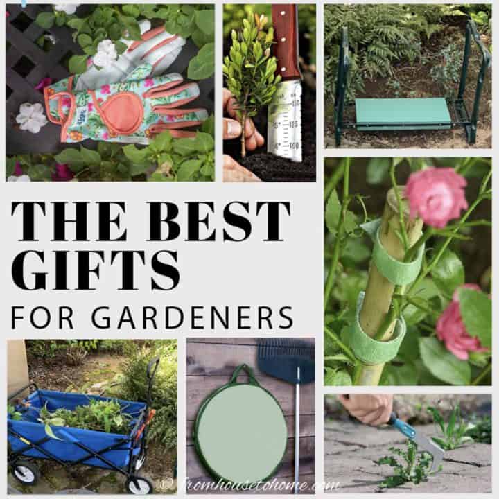 Image for Best Gifts For Gardeners in 2020