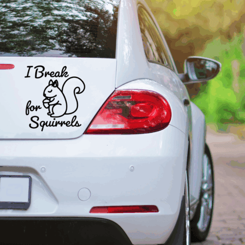 Free I Break for Squirrels car decal SVG for Cricut, Silhouette, and Juliette