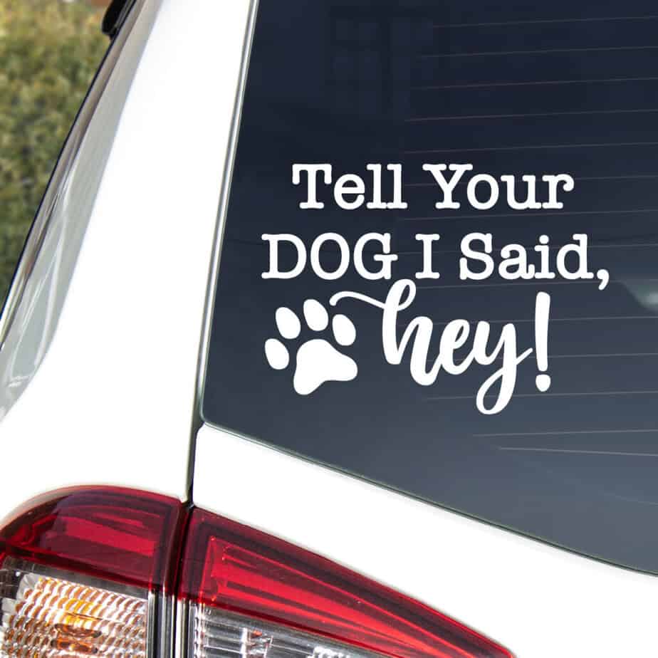 Car decal SVG collection — free cut files for all cutting machines